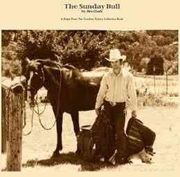 Cowboy Reflections The Sunday Bull