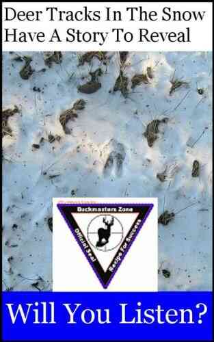 Deer Tracks In The Snow Have A Story To Reveal