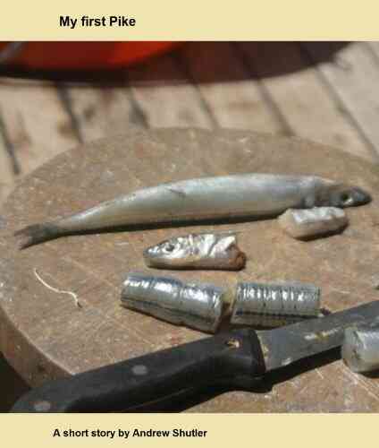 My first Pike Ernest Christo