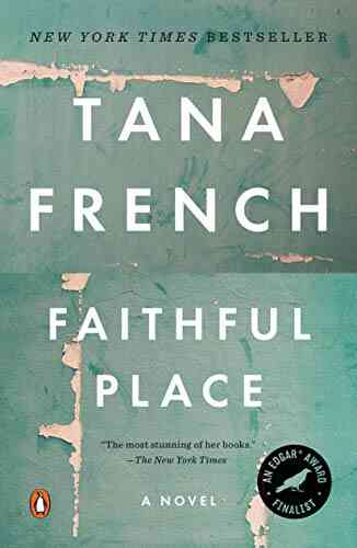 Faithful Place (Dublin Murder Squad 3)