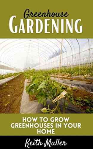 Greenhouse Gardening: How To Grow Greenhouses In Your Home