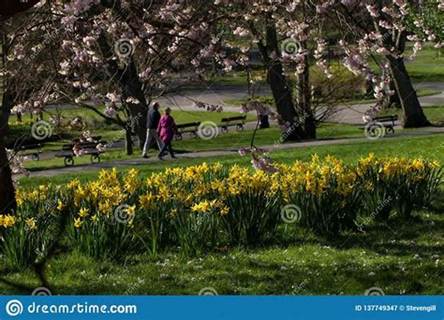 A Happy Couple Enjoying A Stroll Through A Flower Filled Park Her Unexpected Roommate: A Small Town Sweet Romance (Bulbs Blossoms And Bouquets 1)
