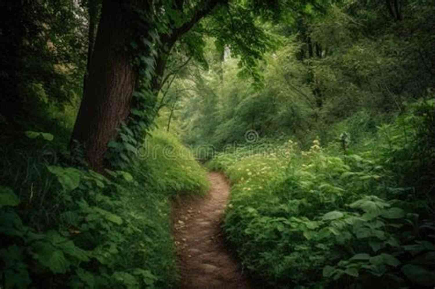 A Peaceful Walking Trail Surrounded By Lush Greenery Poems Of Comfort (Visiting Bermuda 2)