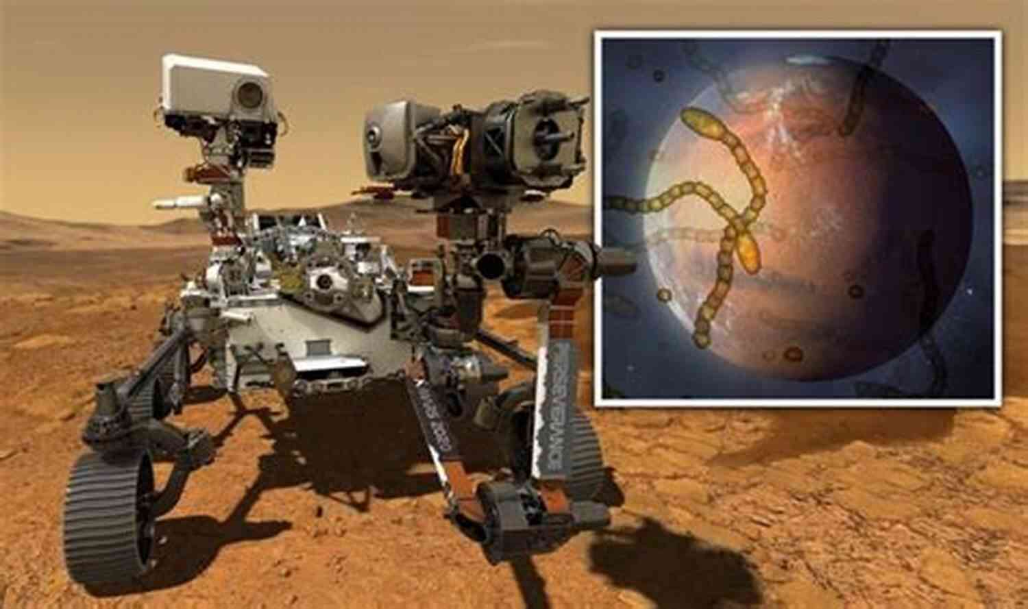 An Illustration Of Mysterious Creatures Lurking Beneath The Surface Of Mars The Fossil 3: Science Fiction Thriller (Secrets Of Mars 3)