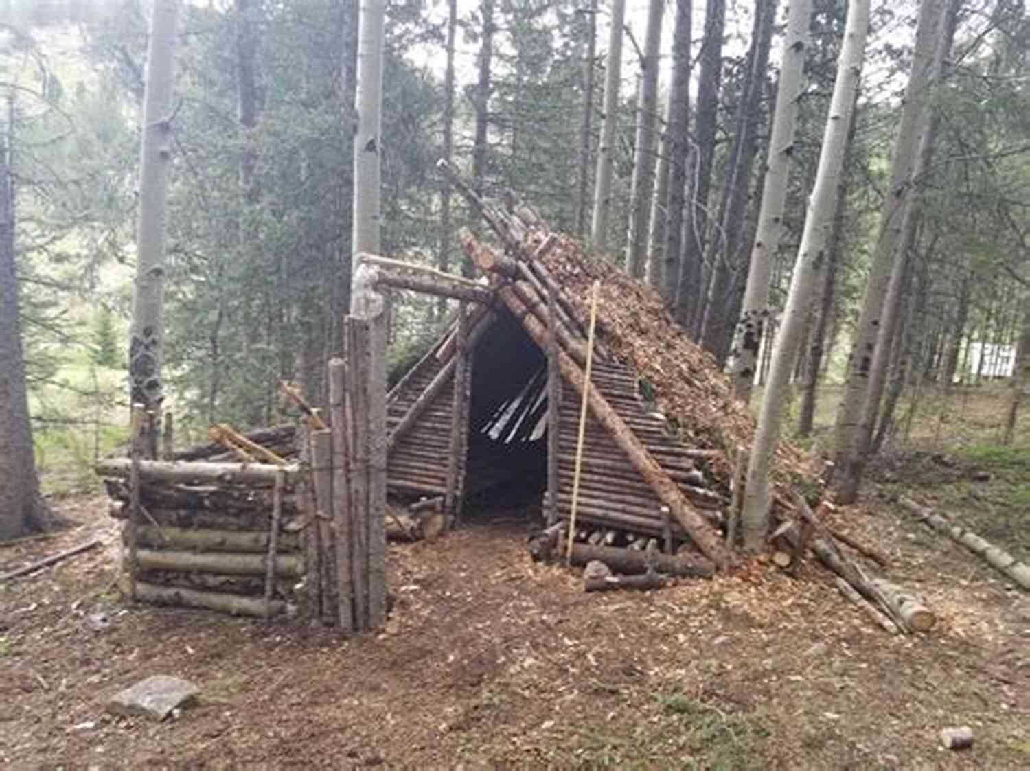 Building A Shelter In The Wilderness Outlasting After (Outlasting 1)
