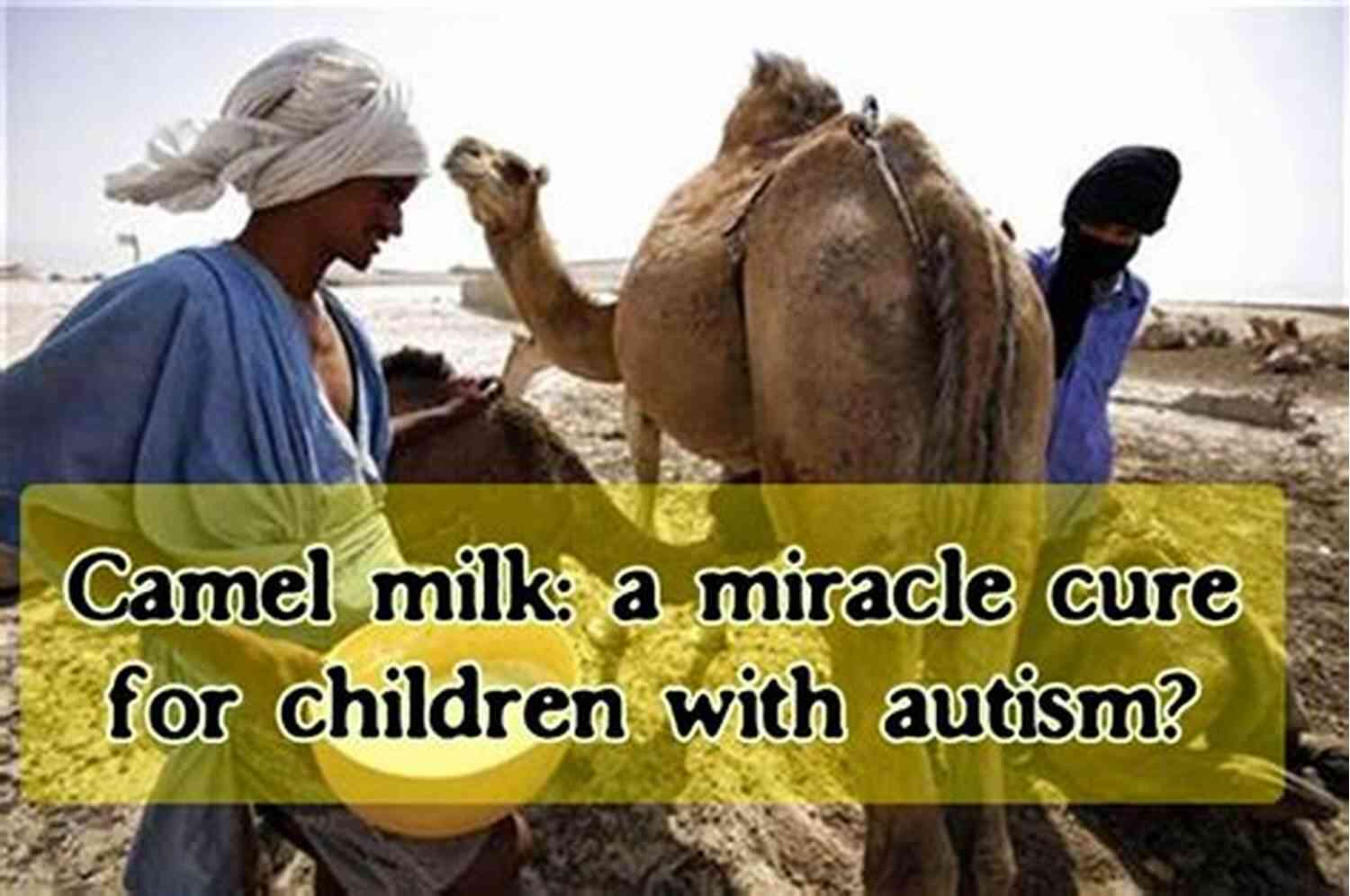 Camel Milk For Autism Camel Milk A Hope To Heal Autism (Camel Milk For Autism 1)