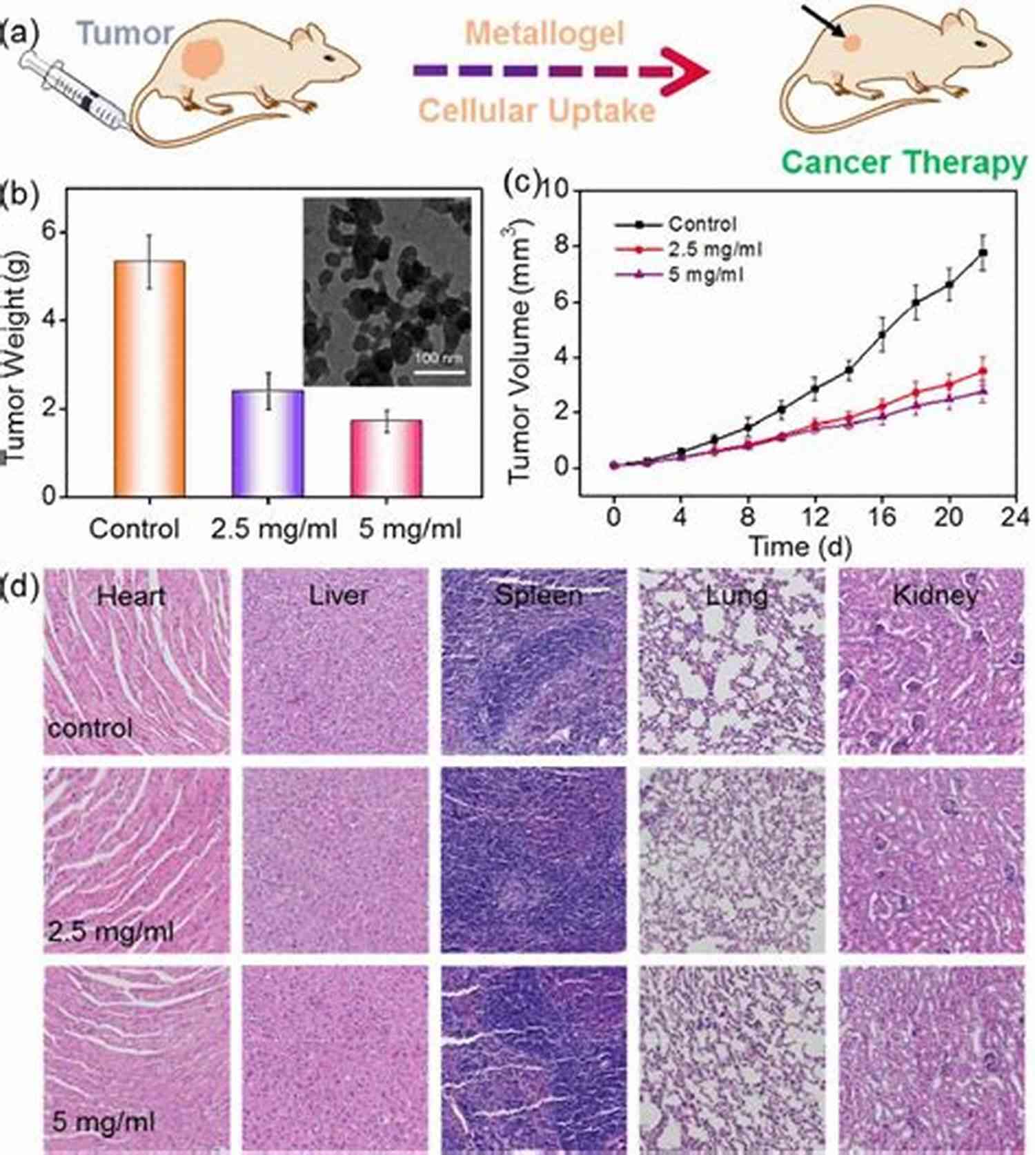 Cancer Cell Growth Inhibition Ten Graphs For The Amateur Microscopist: A Brief Exploration Of Your First Microscope Experiences