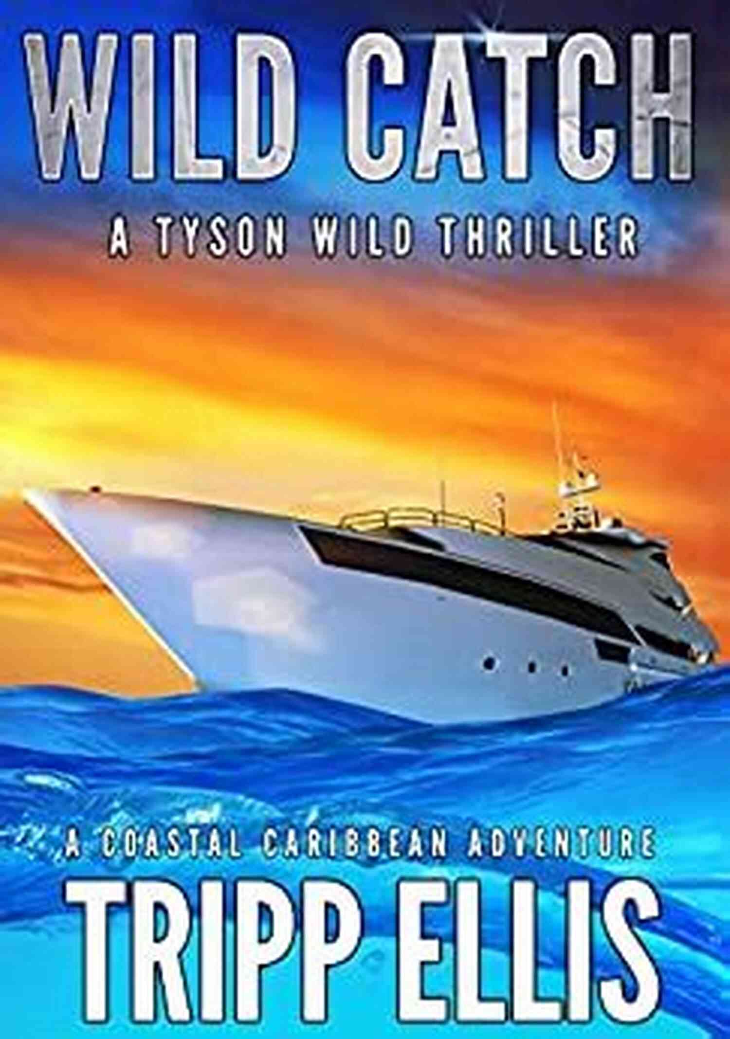 Coastal Caribbean Adventure Tyson Wild Thriller 35 Wild Lights: A Coastal Caribbean Adventure (Tyson Wild Thriller 35)
