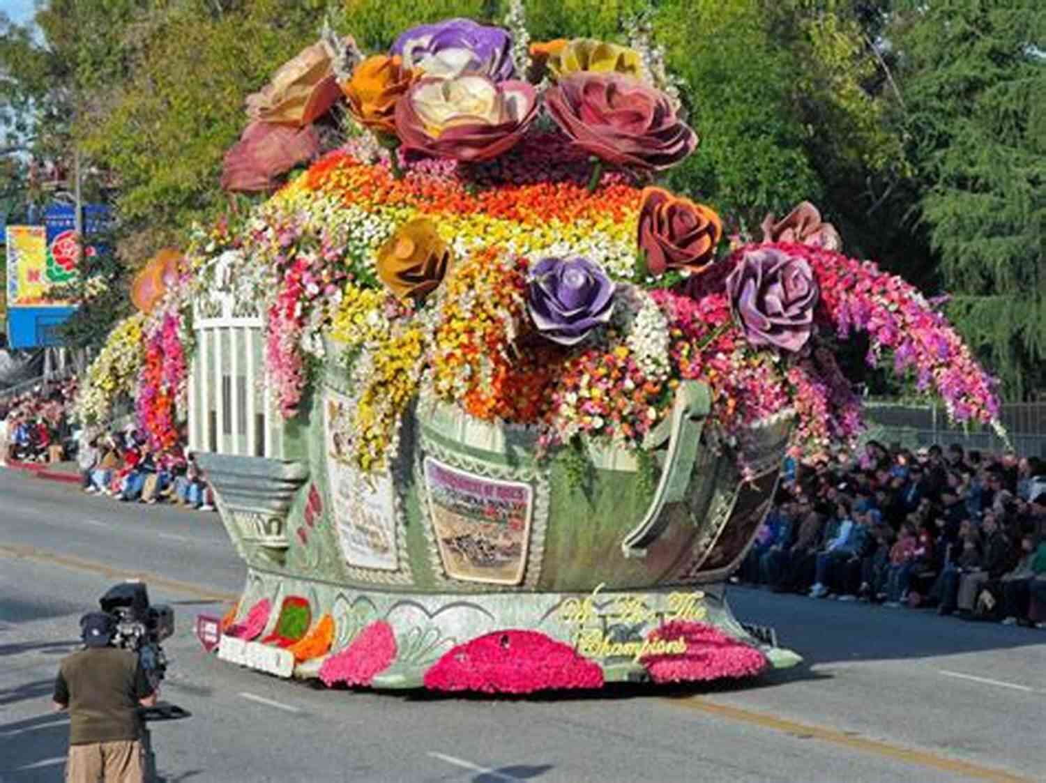 Colorful Flower Displays At The Annual Flower Festival Her Unexpected Roommate: A Small Town Sweet Romance (Bulbs Blossoms And Bouquets 1)