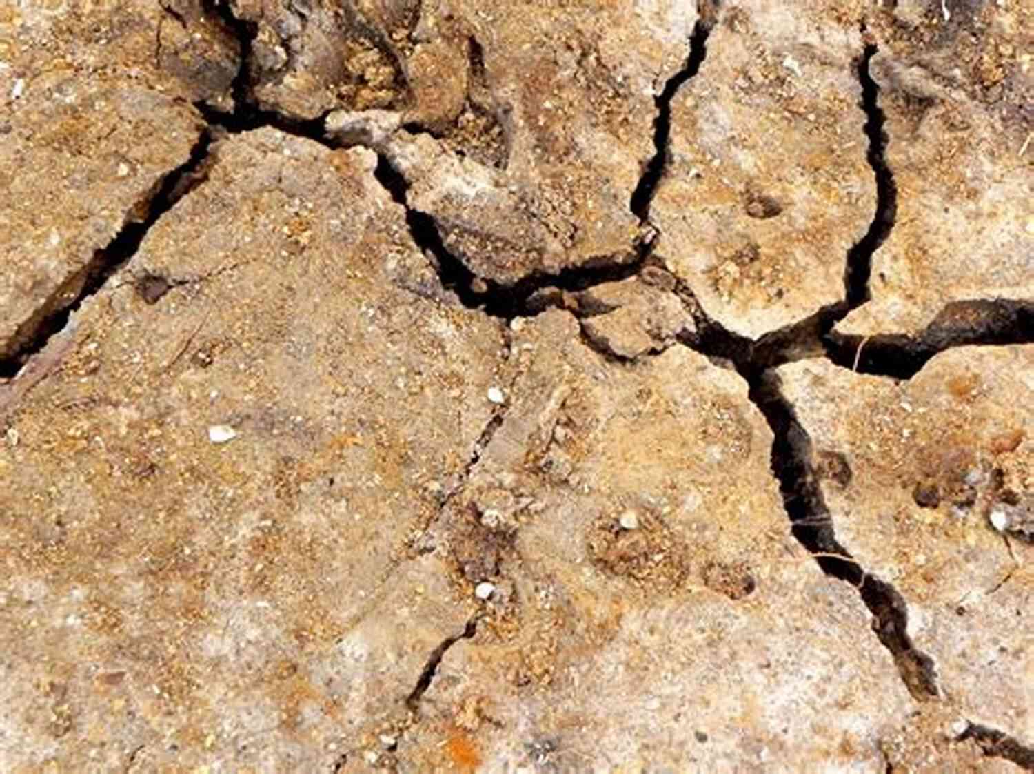 Cracks In The Ground CRACKS: Looking For Special Treatment From The Universe