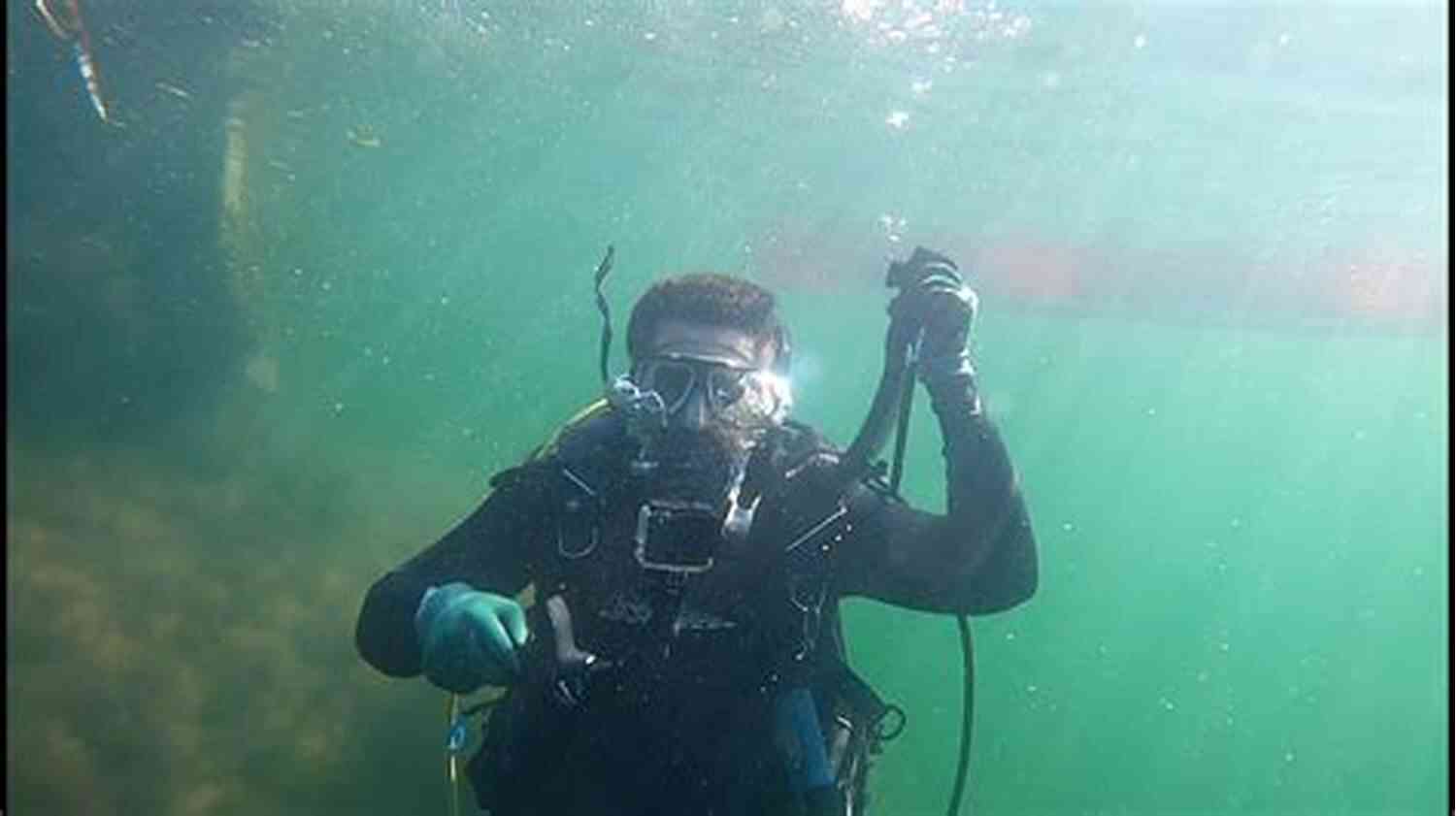 Diving In Florida Keys An Exhilarating Experience At Logan Dodge's Adventure 11 Avenged In The Keys: A Logan Dodge Adventure (Florida Keys Adventure 11)