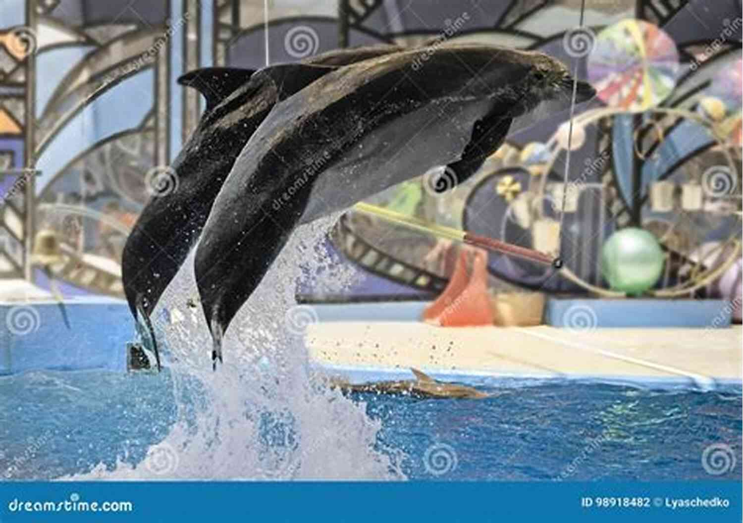 Dolphins Performing Mesmerizing Patterns Action Comics (2016 ) #1026 Dancing Dolphin Patterns