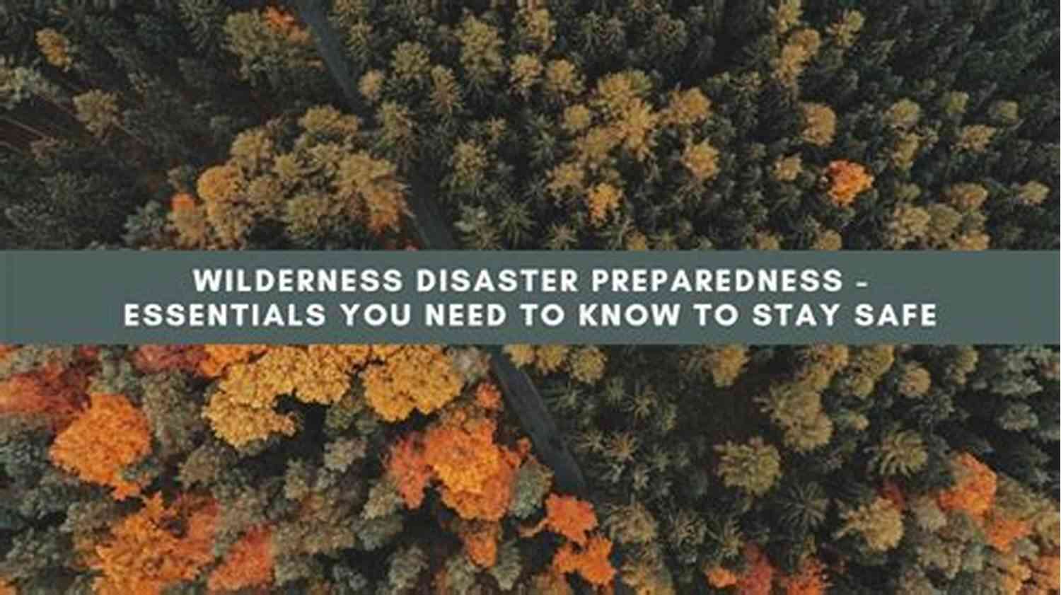 Emergency Preparedness In The Wilderness Outlasting After (Outlasting 1)