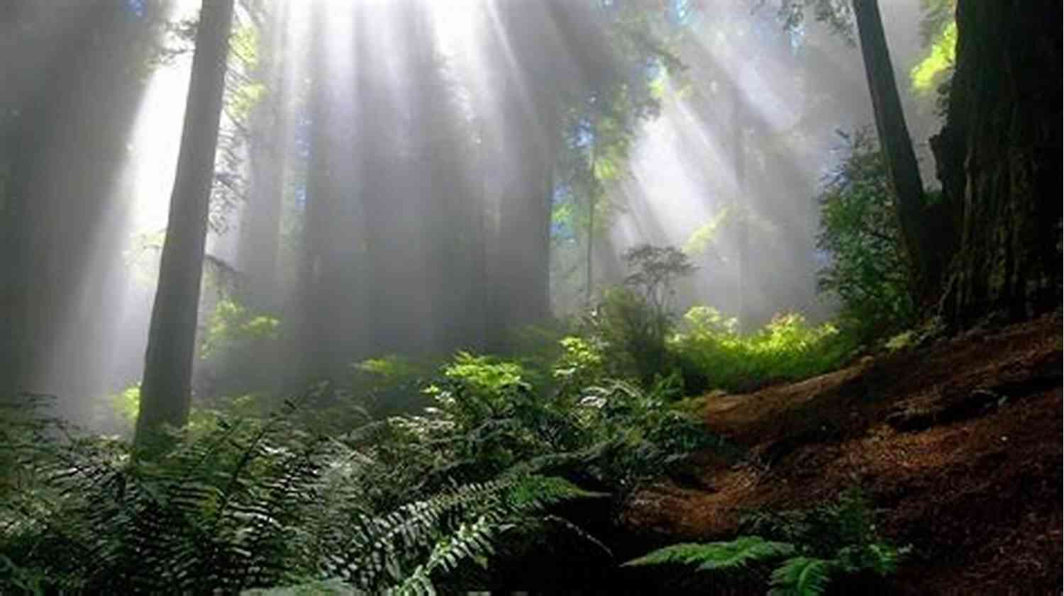 Explore The Mystical Landscapes Of The Way Legacy: A Novel (The Way 3)