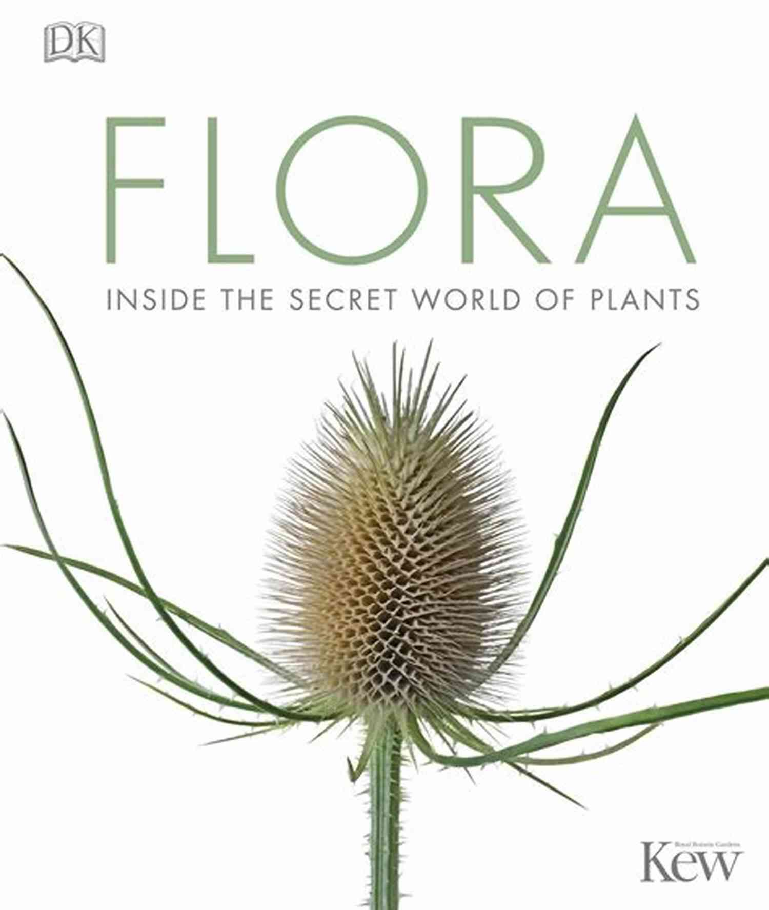 Flora Inside The Secret World Of Plants Roots Flora: Inside The Secret World Of Plants