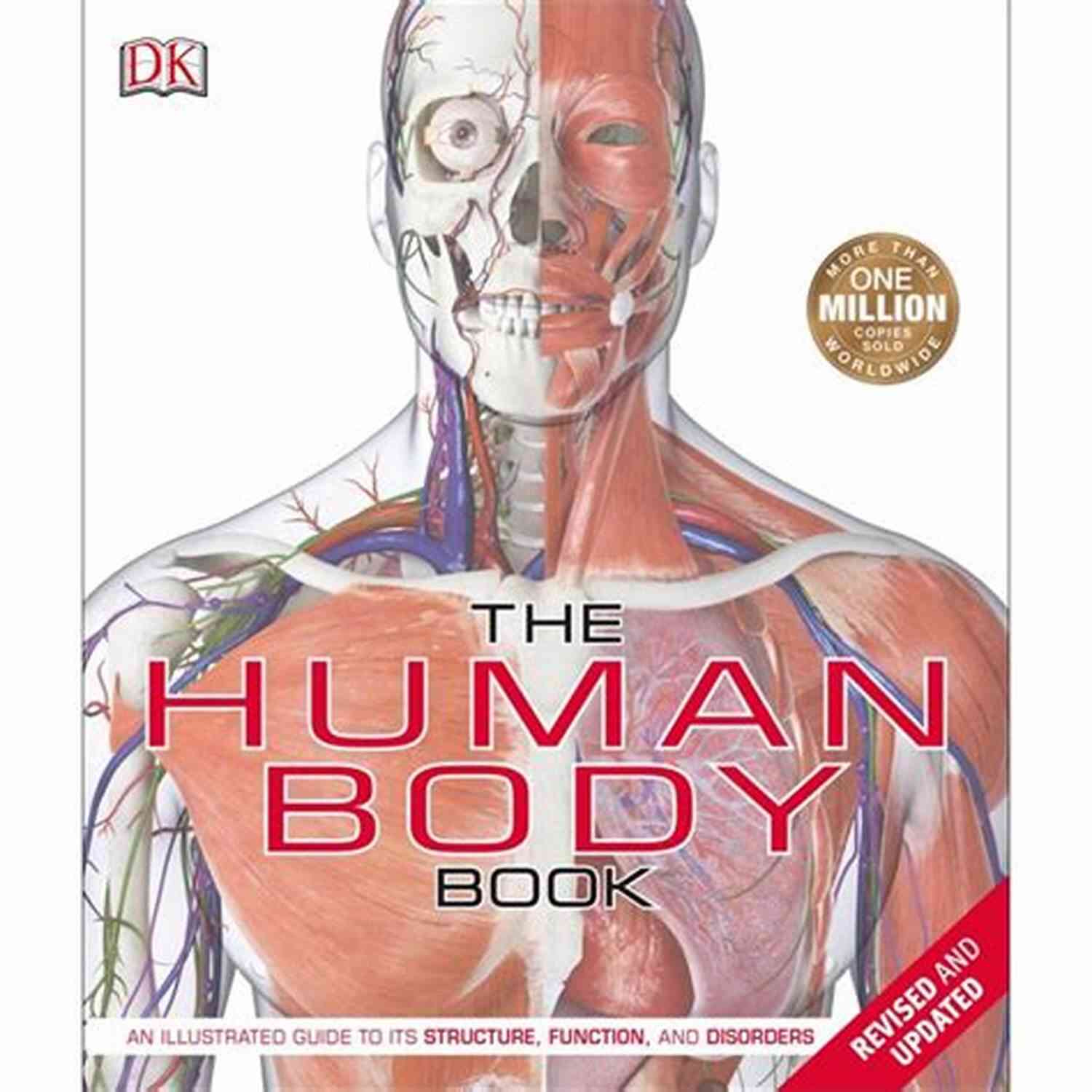 Illustration Of Epilepsy The Concise Human Body Book: An Illustrated Guide To Its Structure Function And Disorders