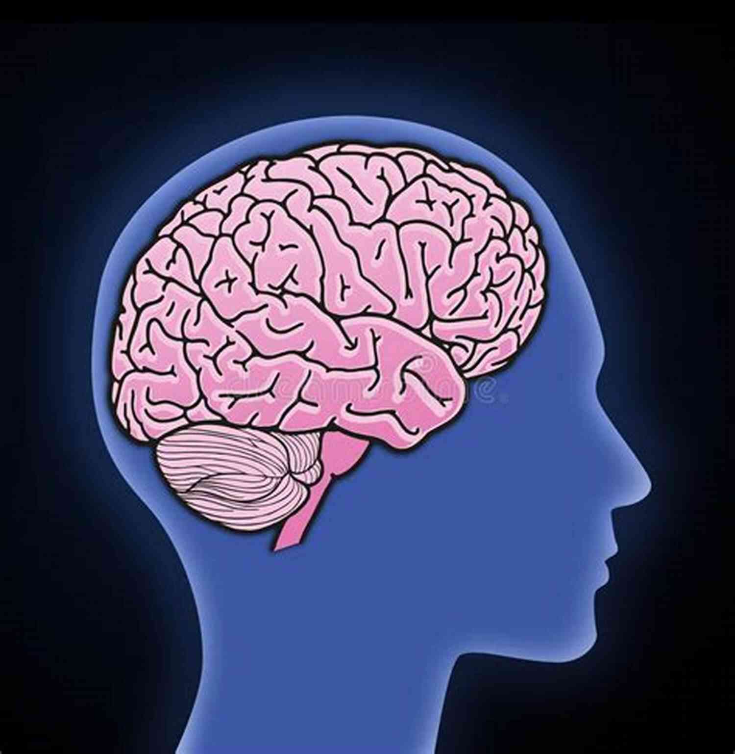 Illustration Of A Brain The Concise Human Body Book: An Illustrated Guide To Its Structure Function And Disorders