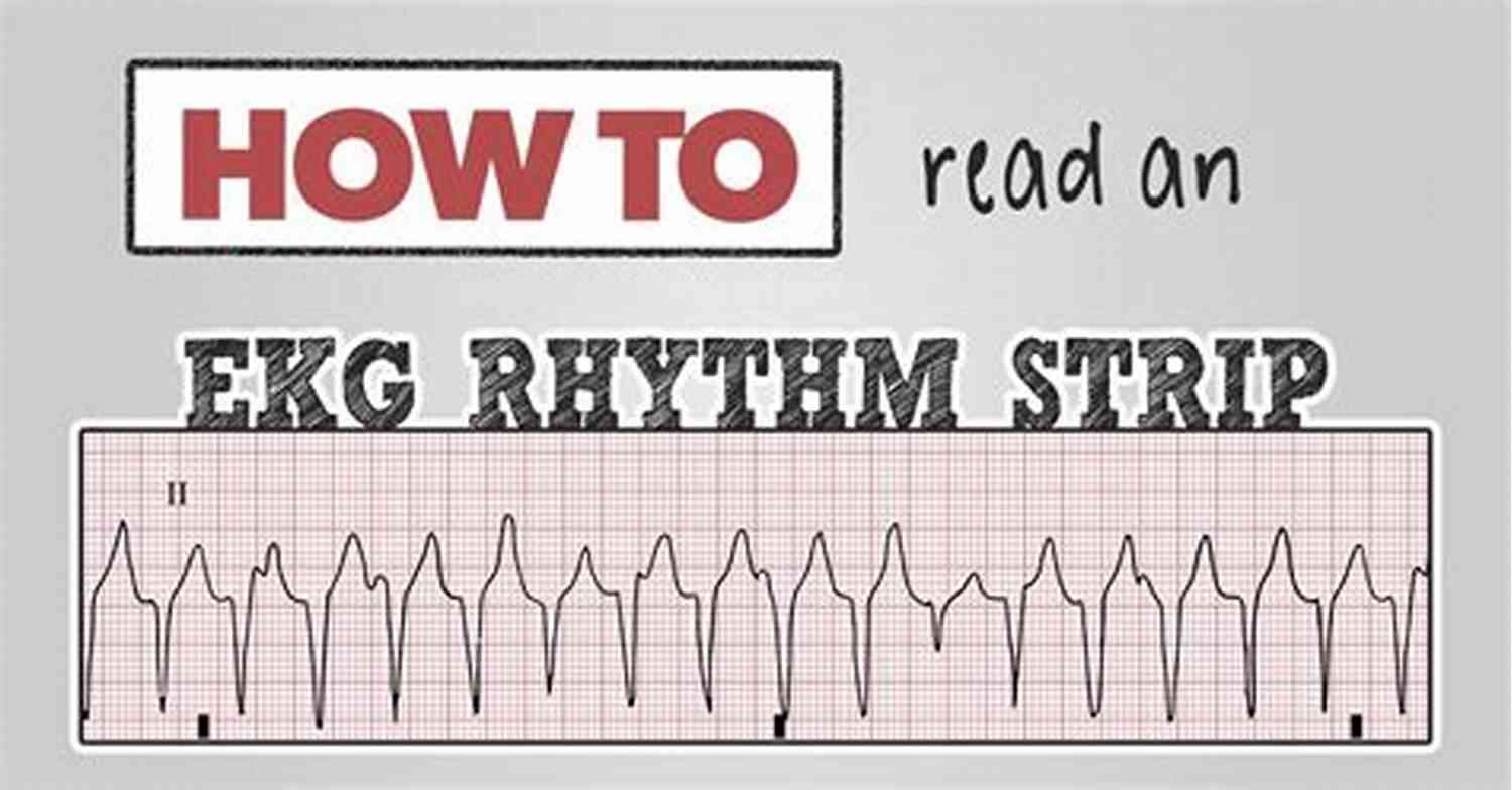 Learn How To Interpret Rhythms With This Comprehensive Guide A Simple Guide On HOW TO READ MUSIC : Fundamentals For Beginners
