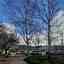 Maynard Parks