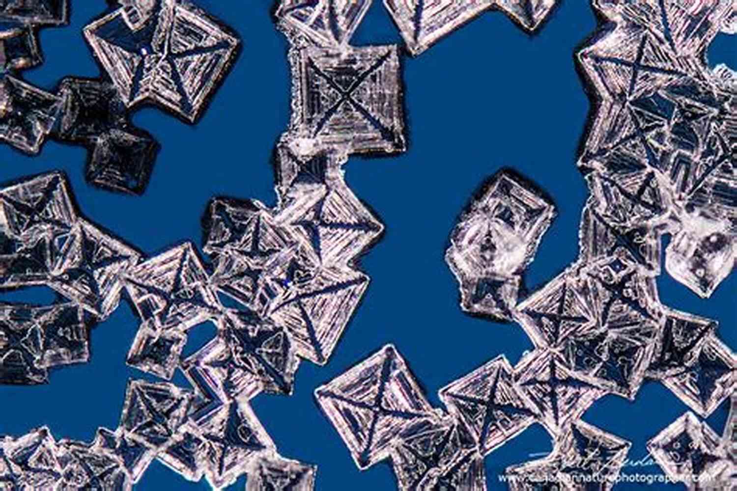 Microscopic Structure Of Crystals Ten Graphs For The Amateur Microscopist: A Brief Exploration Of Your First Microscope Experiences