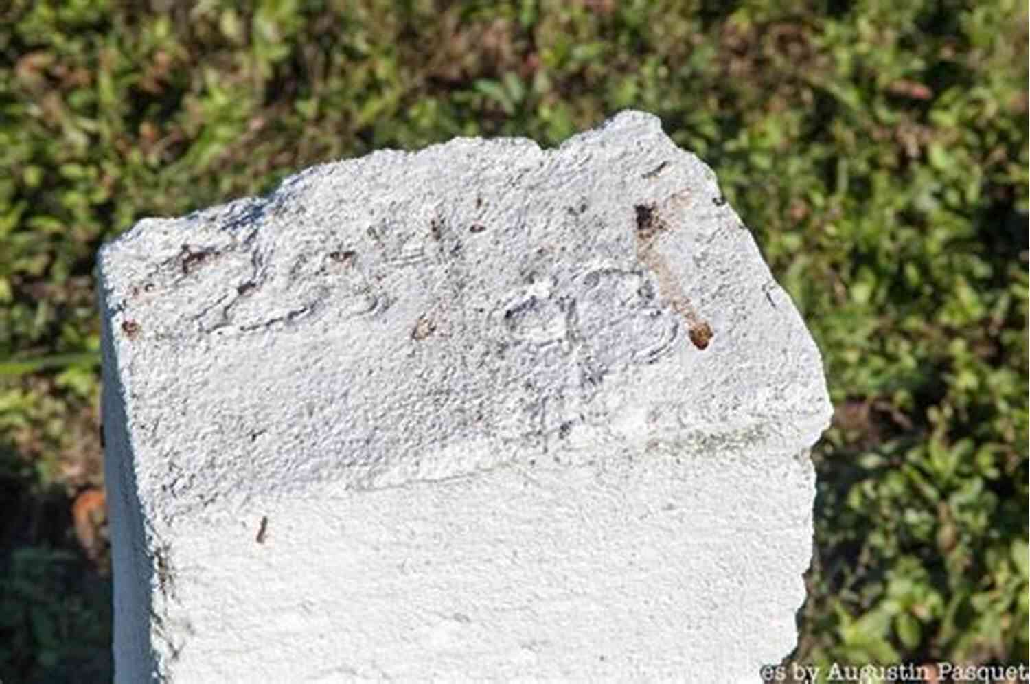Mysterious Tombstone New York City S Hart Island: A Cemetery Of Strangers (Landmarks)