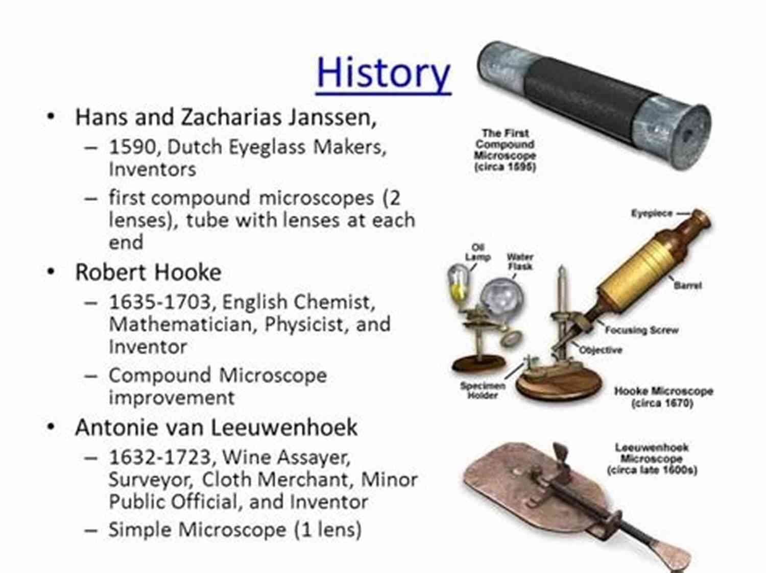 Soil Microbial Diversity Ten Graphs For The Amateur Microscopist: A Brief Exploration Of Your First Microscope Experiences