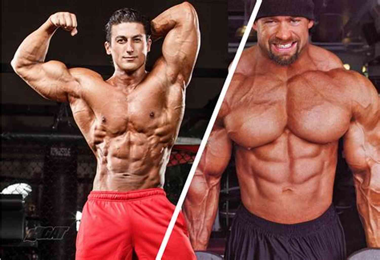 Bodybuilding And Powerlifting 12 Week Powerbuilding Program: Combining Bodybuilding And Powerlifting To Get The Best Of Both Worlds
